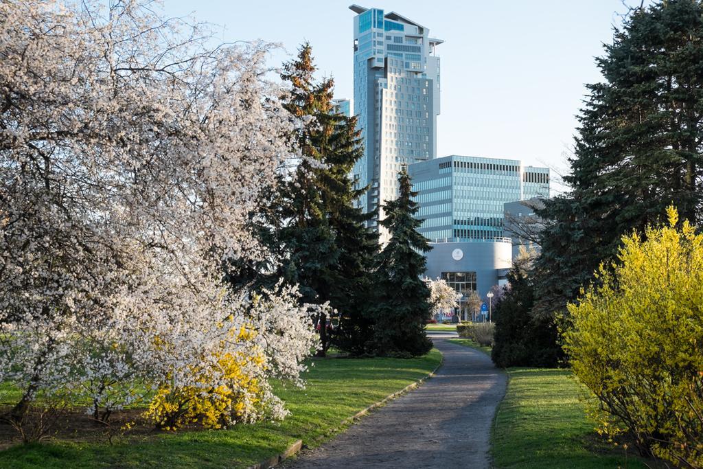 Studio Swietojanska Гдыня Номер фото